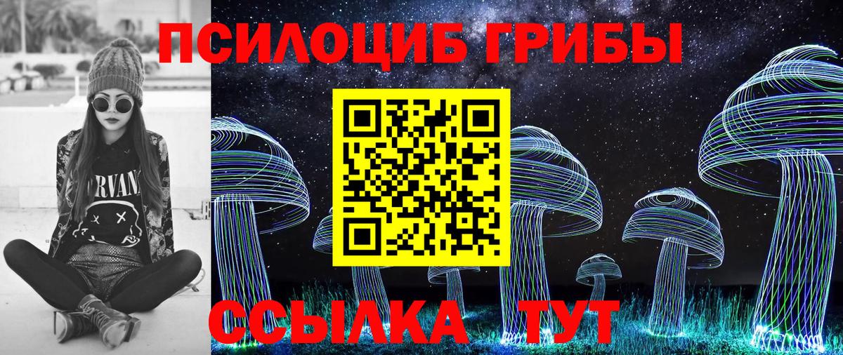Псилоцибиновые грибы Psilocybine cubensis Петрозаводск