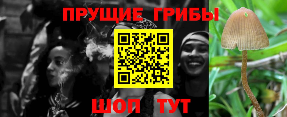 Псилоцибиновые грибы мухоморы  Псилоцибиновые грибы Psilocybe  Петрозаводск  Вход с VPN 